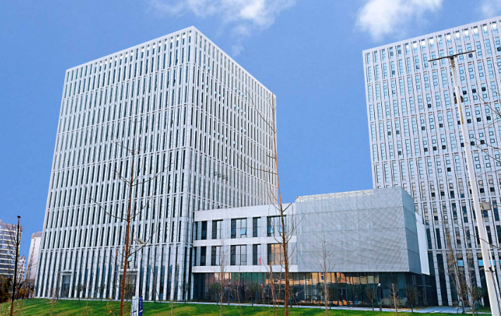 2025深圳文体赛事运营新趋势：从马拉松到企业团建的全案策划要点